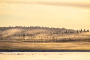 Finland, Lapland, Muonio, landscape with fog in winter Finland, Lapland, Muonio, landscape with fog in winter